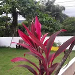 Tropical Hostel Pousada